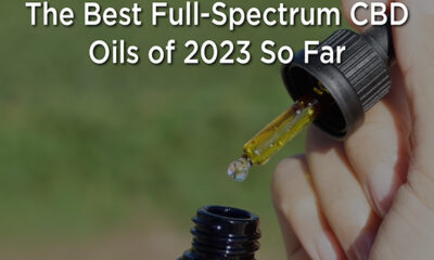 the-best-full-spectrum-cbd-oils-of-2023-so-far