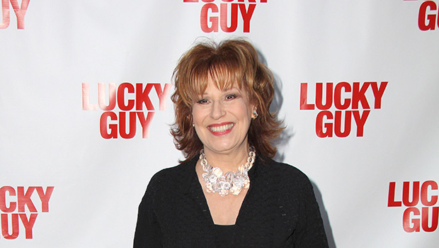 joy-behar’s-husband:-meet-steve-janowitz-&-learn-more-about-her-ex