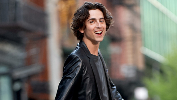 timothee-chalamet-spotted-shirtless-by-la.-roadside-amid-steamy-kylie-jenner-romance