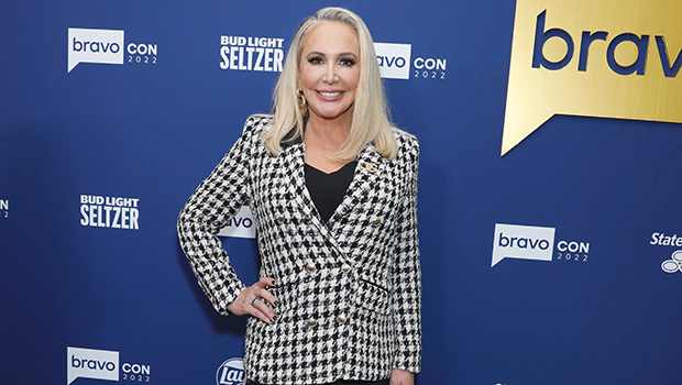 ‘rhoc’-star-shannon-beador-charged-with-dui-after-hit-and-run:-report