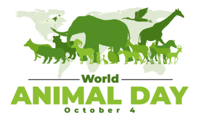 world animal day 2023