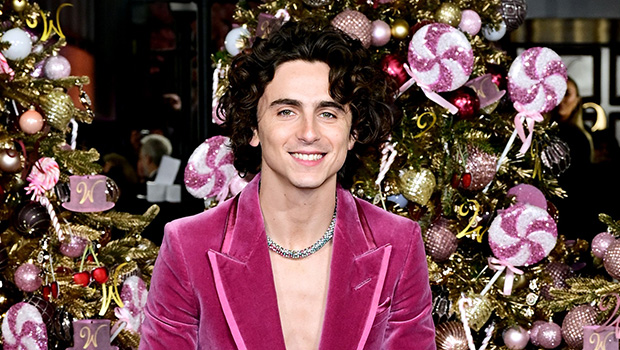 timothee-chalamet-rocks-sheer-sleeveless-top-for-paris-‘wonka’-premiere-amid-kylie-jenner-romance