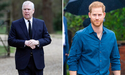 prince-harry-and-prince-andrew-quietly-barred-from-counsellor-of-state-roles-amid-king-charles’-medical-procedure