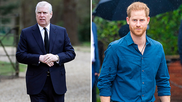 prince-harry-and-prince-andrew-quietly-barred-from-counsellor-of-state-roles-amid-king-charles’-medical-procedure