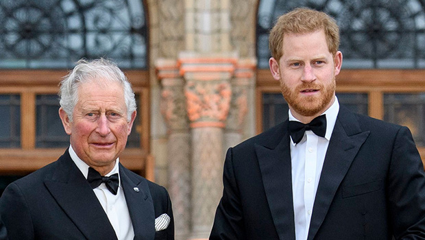 prince-harry-pokes-fun-at-his-father-king-charles-iii-at-aviation-event-amid-rumored-family-rift