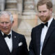 prince-harry-would-reportedly-be-willing-return-to-royal-duties-if-asked-by-king-charles-following-his-cancer-diagnosis