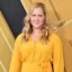 amy-schumer’s-health:-everything-to-know-about-her-battle-with-endometriosis-&-cushing-syndrome