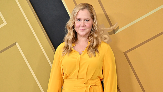 amy-schumer’s-health:-everything-to-know-about-her-battle-with-endometriosis-&-cushing-syndrome