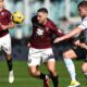 toro-stopped-by-salernitana:-0-0-at-‘grande-torino’