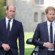 prince-william-&-prince-harry-reportedly-have-‘no-plans’-to-reunite-amidst-dad-charles’-cancer-diagnosis