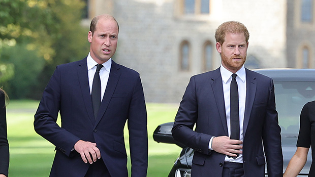 prince-william-&-prince-harry-reportedly-have-‘no-plans’-to-reunite-amidst-dad-charles’-cancer-diagnosis