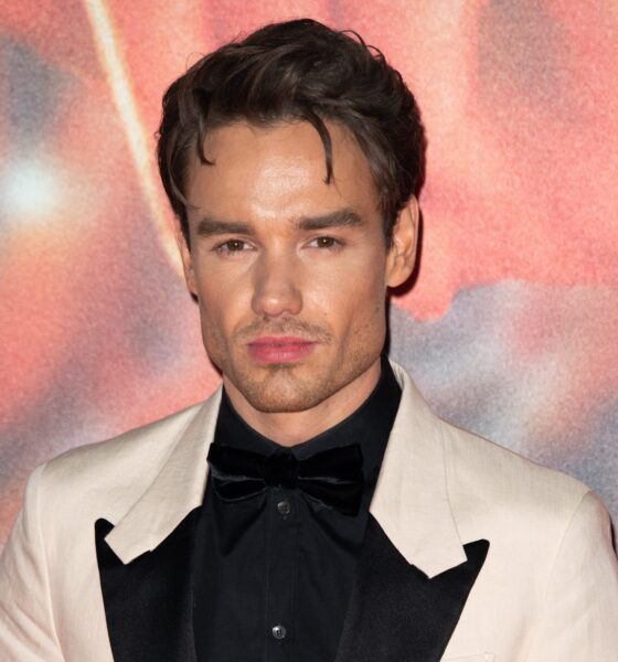 were-liam-payne-&-diddy-friends?-conspiracy-theories-explained