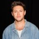 niall-horan’s-net-worth-2024:-how-much-money-he-makes-now