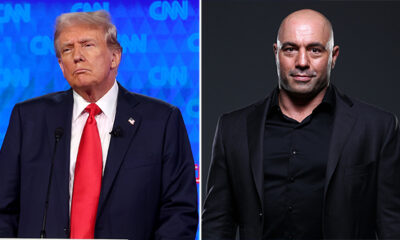 how-did-donald-trump-do-on-the-joe-rogan-podcast?-highlights