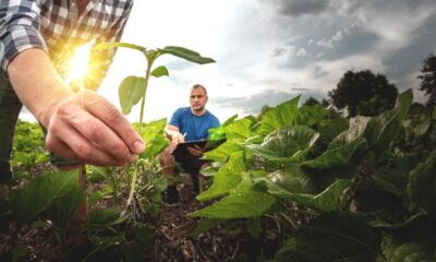 future-of-agriculture-–-european-commission