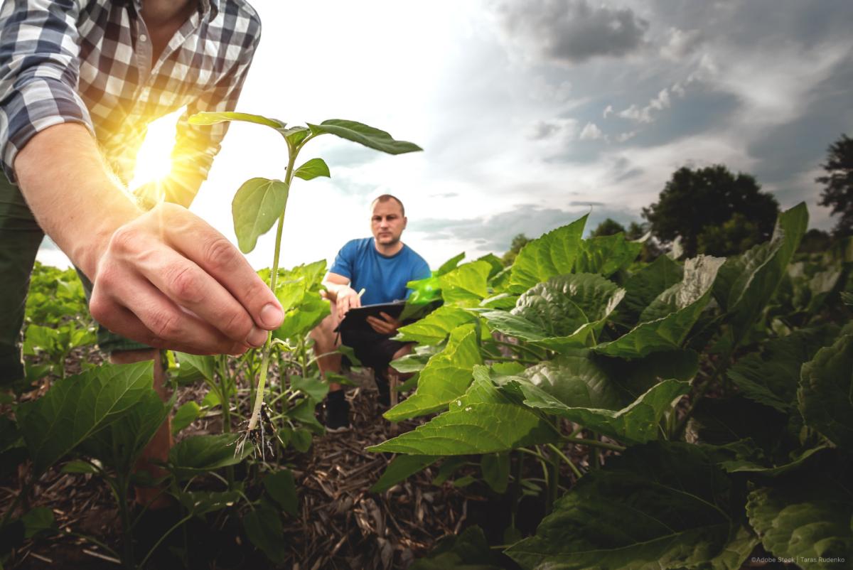 future-of-agriculture-–-european-commission