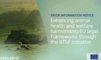 prior-information-notice-–-enhancing-animal-health-and-welfare:-harmonising-eu-legal-frameworks-through-the-btsf-initiative