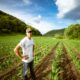 eu-unveils-major-agricultural-reform-to-boost-competitiveness-and-ease-burden-on-farmers