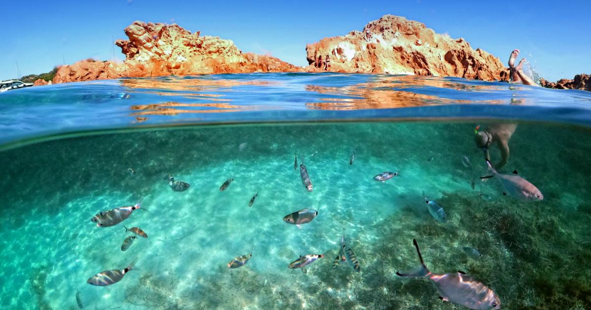 commission-adopts-ocean-pact-to-protect-marine-life-and-strengthen-blue-economy
