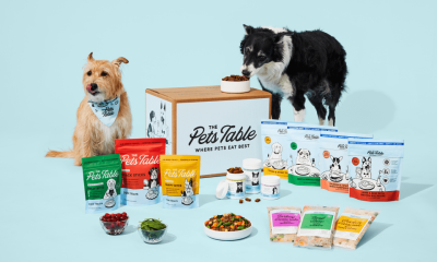 what’s-the-#1-food-to-support-dogs’-health?-we-compared-top-brands,-and-here’s-what-we-found…